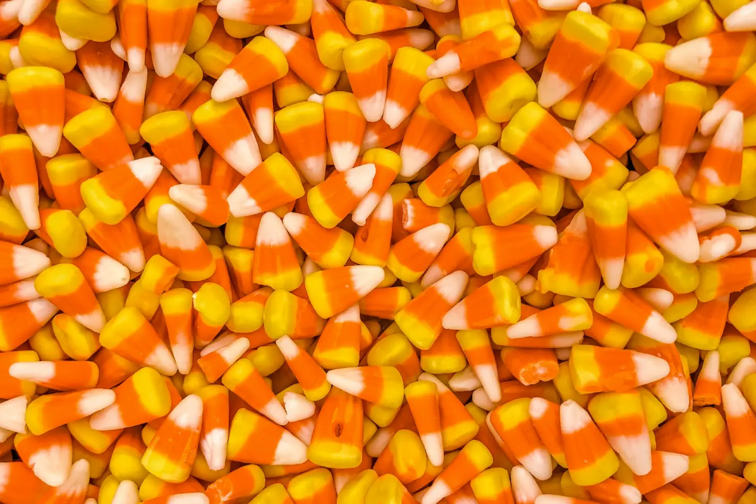 Boo to Cavities: 6 Oral Care Tips for Halloween from Dentists